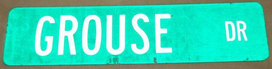 Street sign - "Grouse Dr"