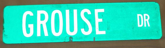 Street sign - "Grouse Dr"